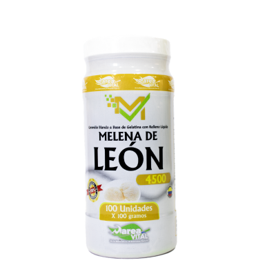 MELENA DE LEÓN – MEMORIA Y ENFOQUE NATURAL